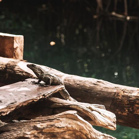 Hotel Uman Glamping & Cenote Tulum Exteriér fotografie