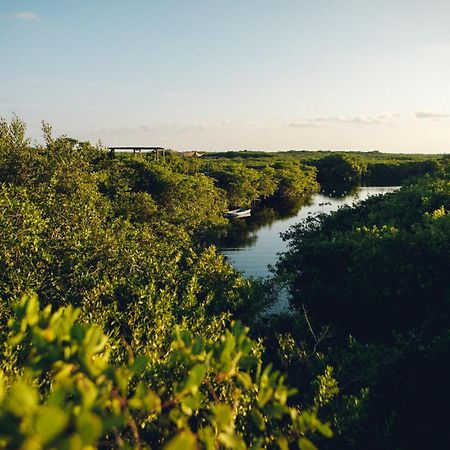 Hotel Uman Glamping & Cenote Tulum Exteriér fotografie