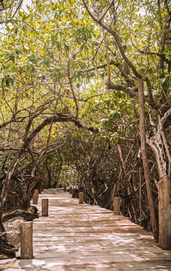 Hotel Uman Glamping & Cenote Tulum Exteriér fotografie