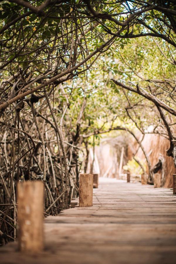 Hotel Uman Glamping & Cenote Tulum Exteriér fotografie