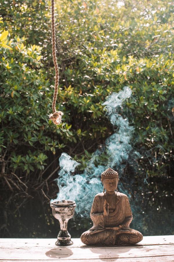 Hotel Uman Glamping & Cenote Tulum Exteriér fotografie