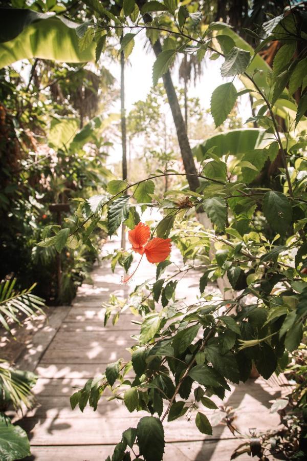 Hotel Uman Glamping & Cenote Tulum Exteriér fotografie