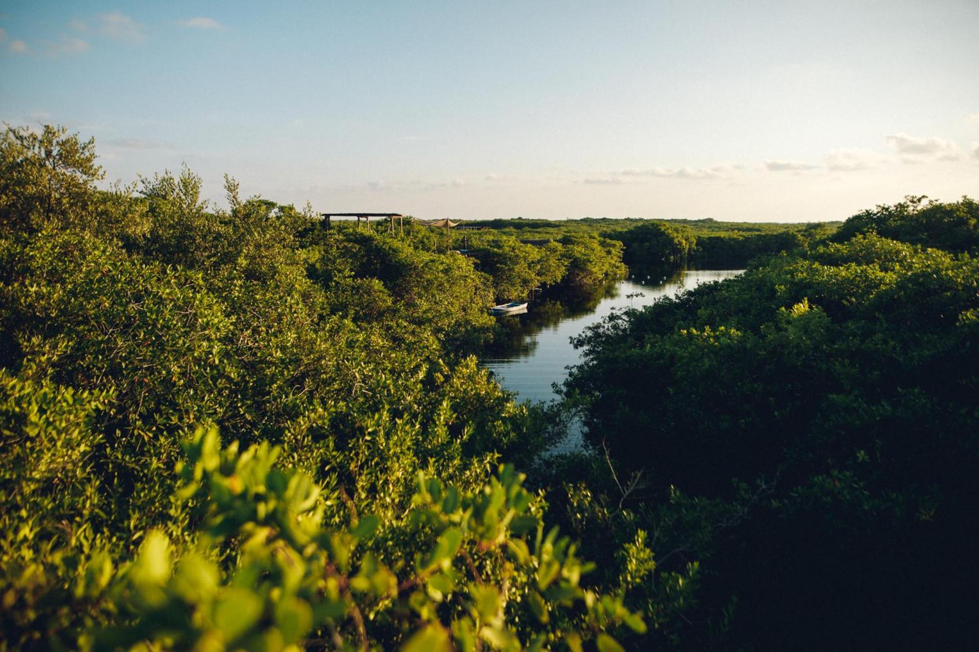 Hotel Uman Glamping & Cenote Tulum Exteriér fotografie