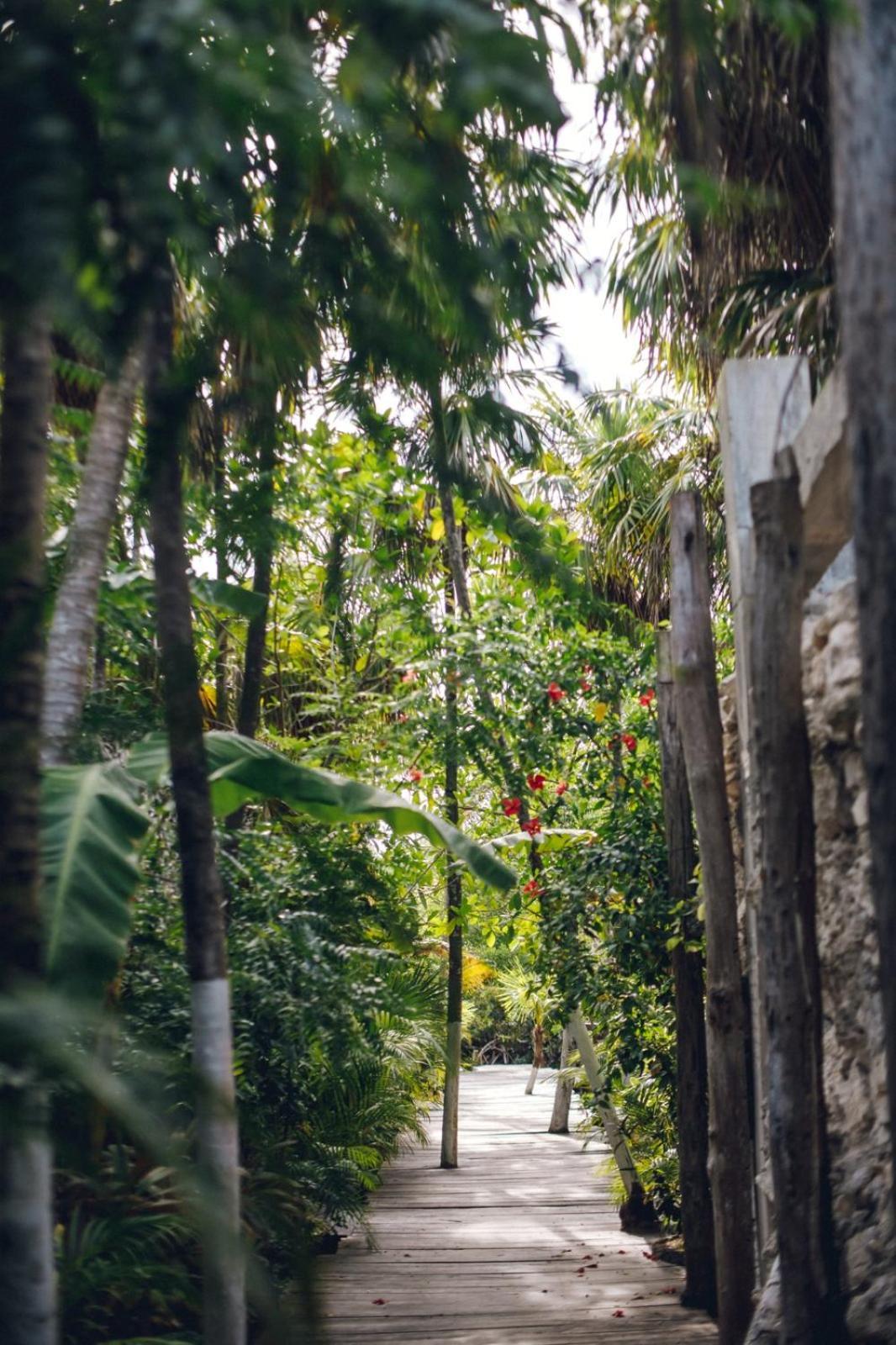 Hotel Uman Glamping & Cenote Tulum Exteriér fotografie